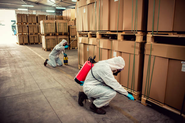 Trusted Fosston, MN Pest Control Experts