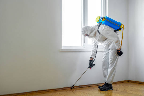 Best Insect Control  in Fosston, MN
