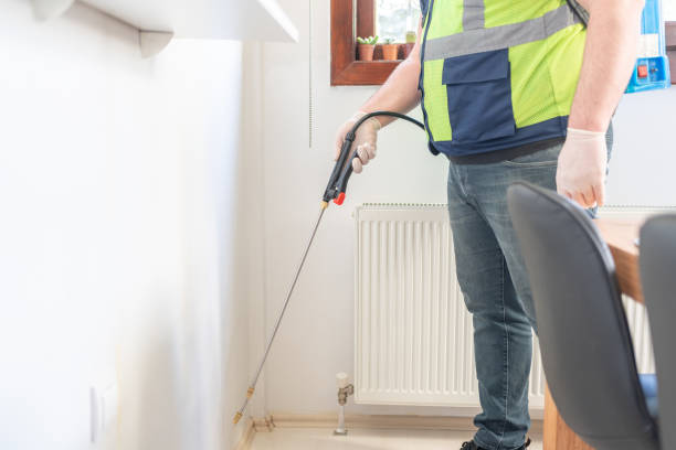Best Wasp Removal Services  in Fosston, MN