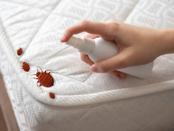 Best Best Pest Control Companies  in Fosston, MN